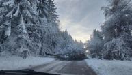 Tragedija izbegnuta za dlaku: Drvo palo na auto i preprečilo put kod Ivanjice, saobraćaj blokiran