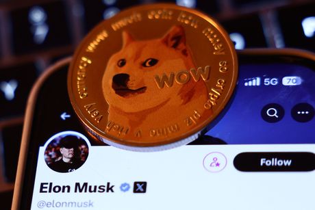 Elon Musk Dogecoin