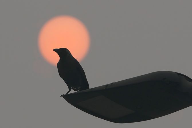 Zagađenje vazduha u Nju Delhiju Zagađenje vazduha u Nju Delhiju