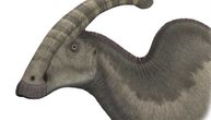 Parasaurolofusove cevi: Modeliranje dinosaurusove kreste radi proučavanja njegovog zvuka