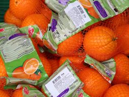 pomorandže u mrežici, pomorandže, voće, narandžasta mrežica