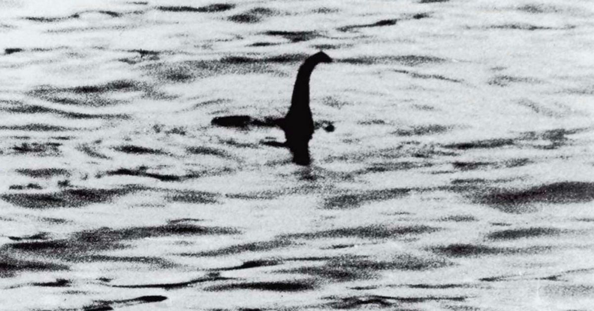 Monster Hunters: "Loch Ness Hides a Whole Family, Not Just One Creature!"