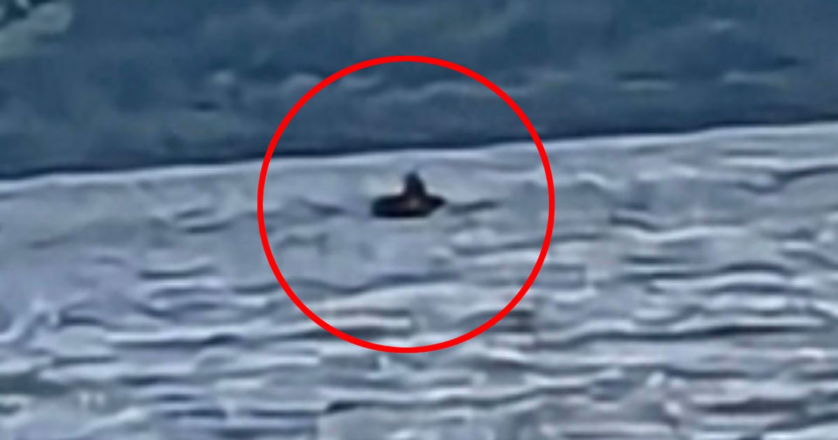 Šta ovo izranja iz najmisterioznijeg jezera na svetu? Pojavio se ŠOK snimak: Kreće se neverovatnom brzinom