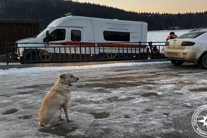 Pas Belka, Rusija