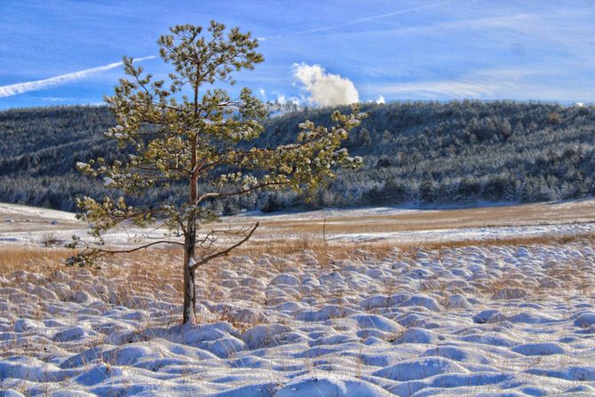 Zlatibor