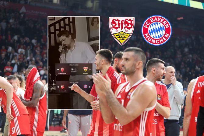 KK Crvena zvezda, Žikina dinastija KK Crvena zvezda, Žikina dinastija