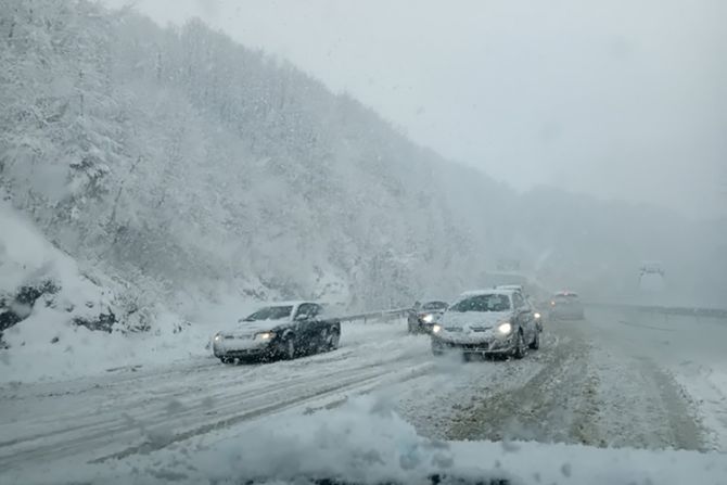 zlatibor kolaps sneg