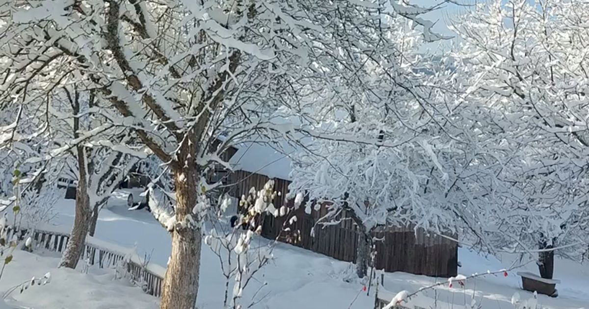 Sneg doneo haos u Liku: Bez struje na stotine domaćinstava na području Opštine Gračac - Vesti - Telegraf.rs