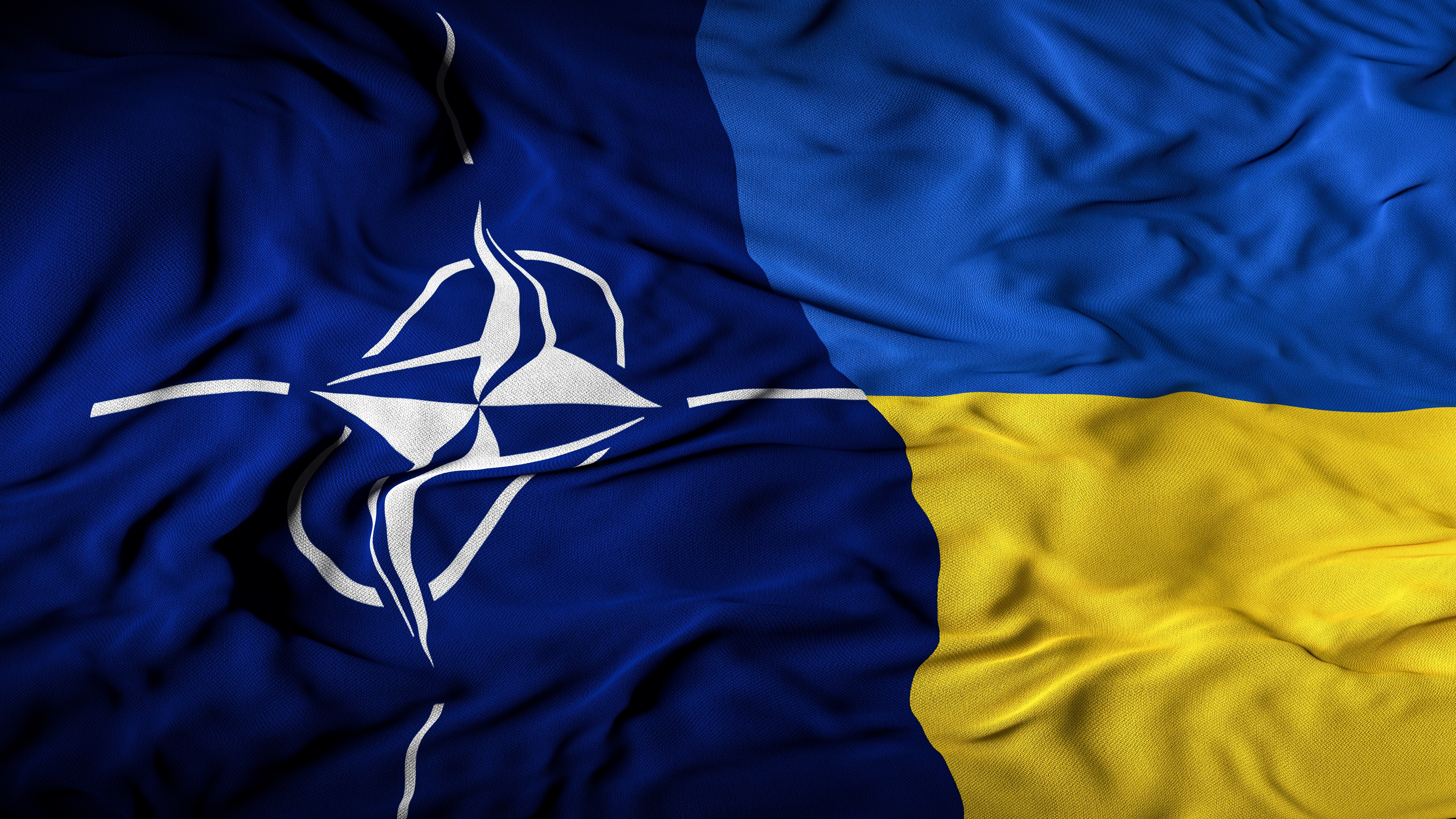 Švedski ministar odbrane: Ukrajina bi trebalo da ima mogućnost ulaska u NATO