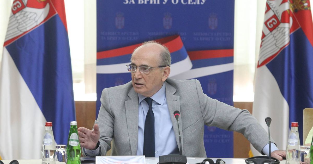 Krkobabić: Ulaganje u mlade ljude nije kampanja, već strateško opredeljenje Srbije