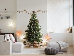 Dom, dekoracija, Nova godina