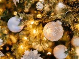 Novogodišnja jelka i ukrasi
