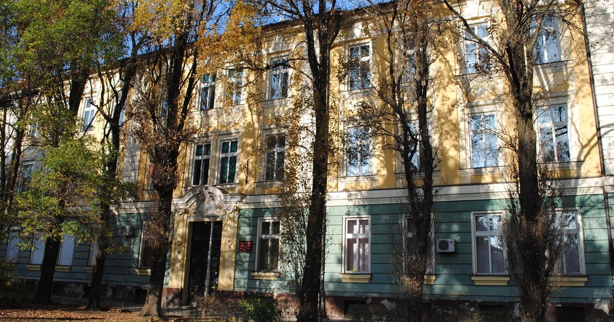 U OVOM gradu u Vojvodini, gimnazijalci nižu samo uspehe: Za sve su talentovani, od sporta do nauke