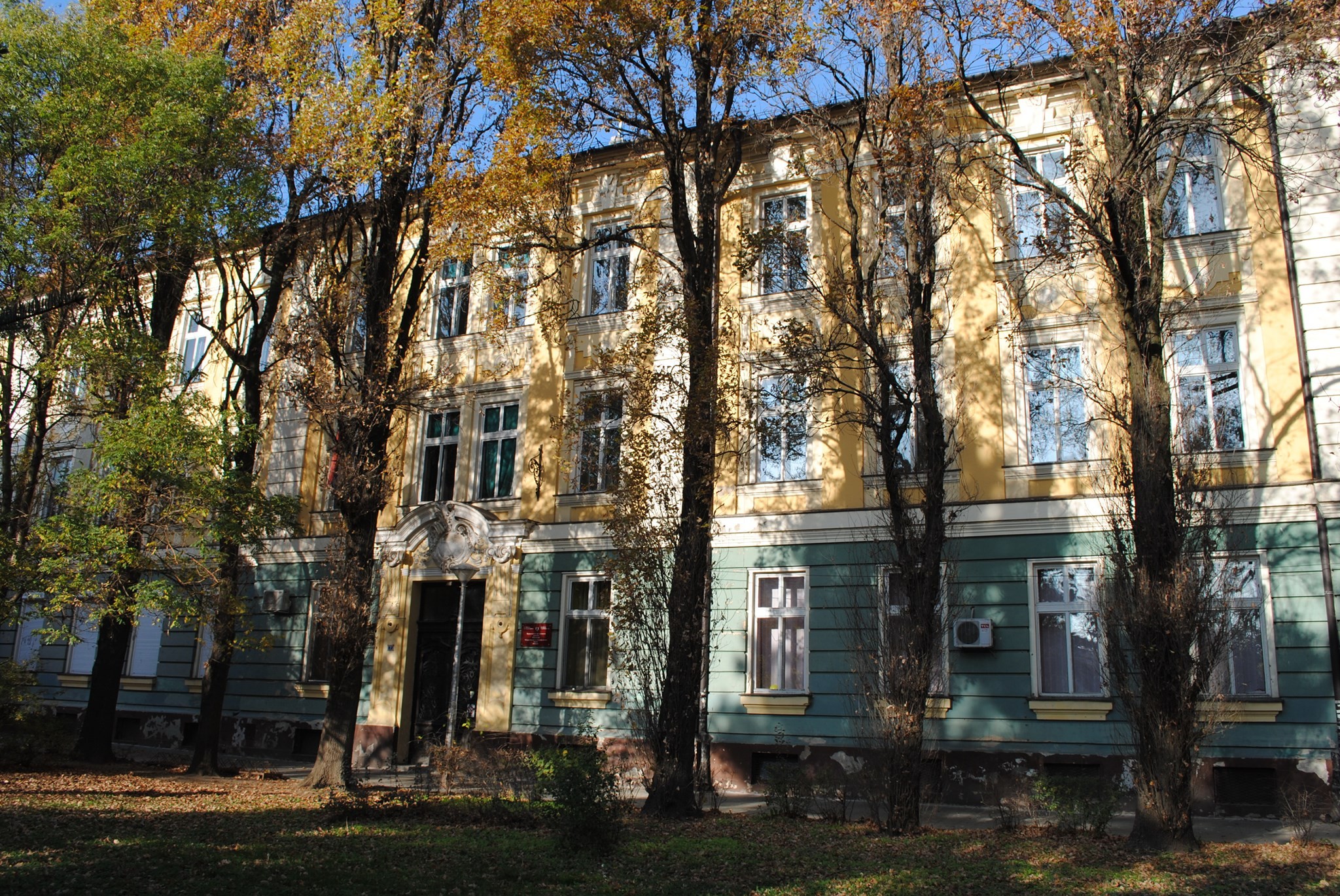 U OVOM gradu u Vojvodini, gimnazijalci nižu samo uspehe: Za sve su talentovani, od sporta do nauke