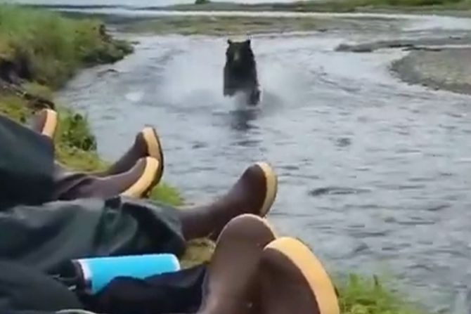 medved i izletnici medved i izletnici