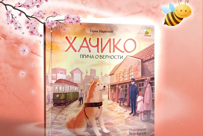 Hačiko, Pčelica Hačiko, Pčelica