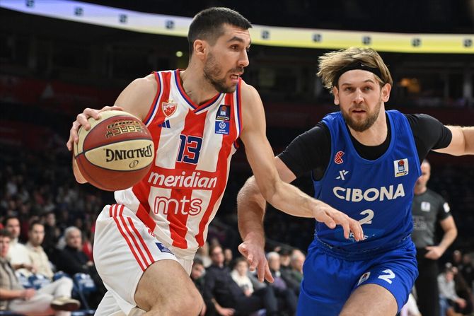 Ognjen Dobrić - KK Crvena zvezda - KK Cibona Ognjen Dobrić - KK Crvena zvezda - KK Cibona