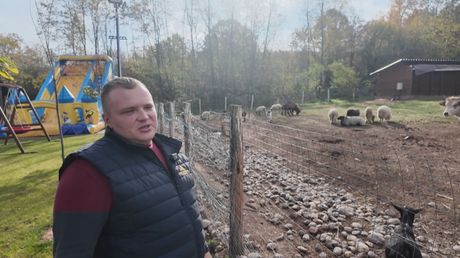 Farma magarica, selo Sisevac kod Paraćina, Miloš Ivković