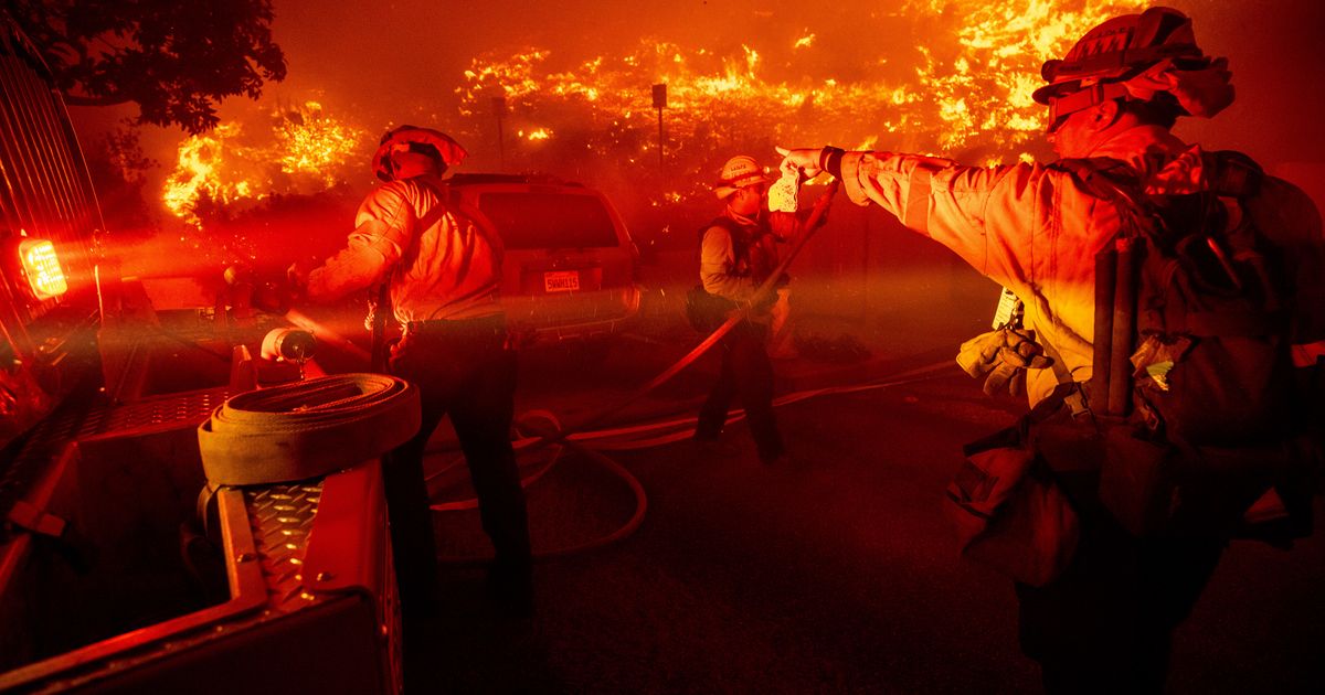 Više od 500 životinja uginulo nakon požara u tržnom centru u Dalasu