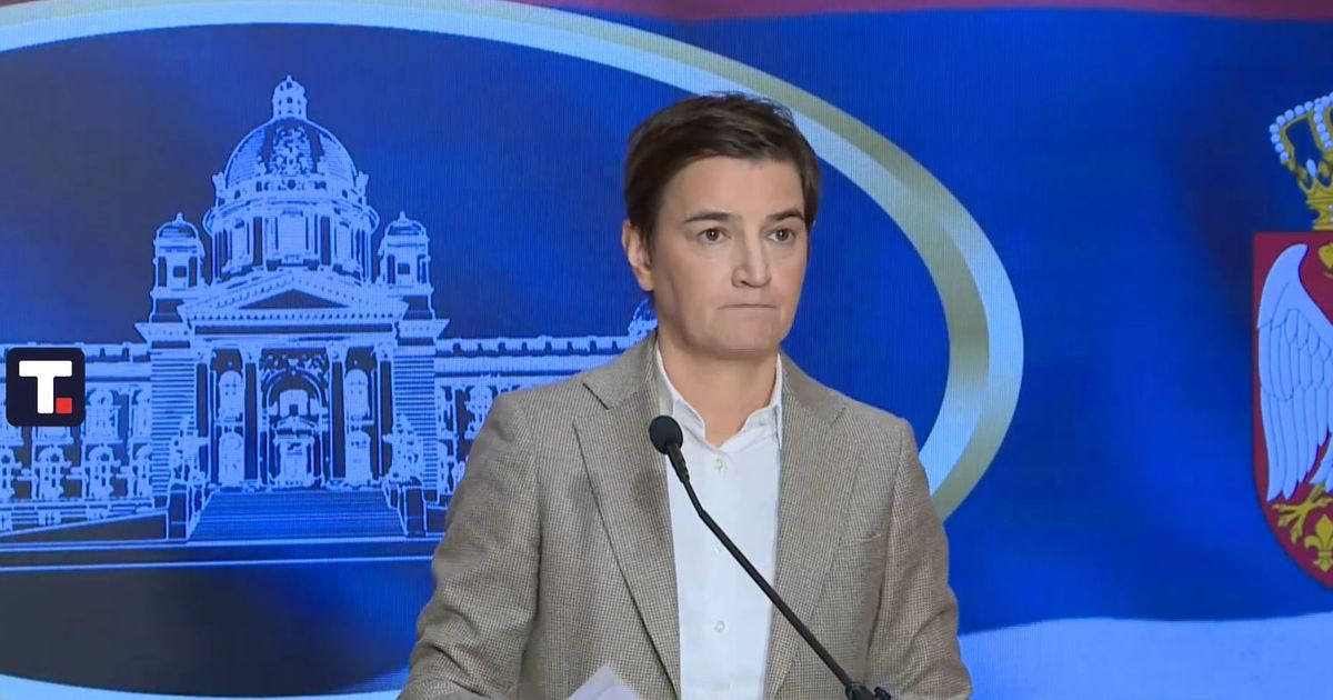 Brnabić: Srbija više nije nemi učesnik u svetskoj politici, zadatak očuvati nacionalne interese