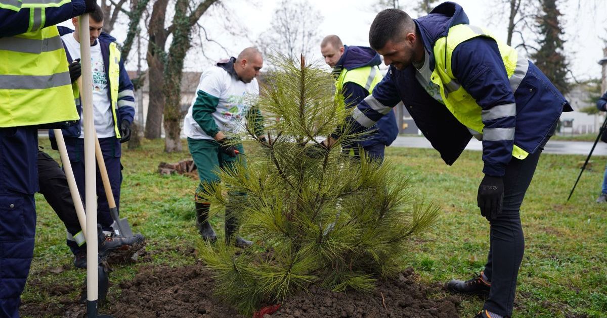 Zaposleni kompanije Carlsberg Srbija u akciji sadnje obnovili park u Čelarevu