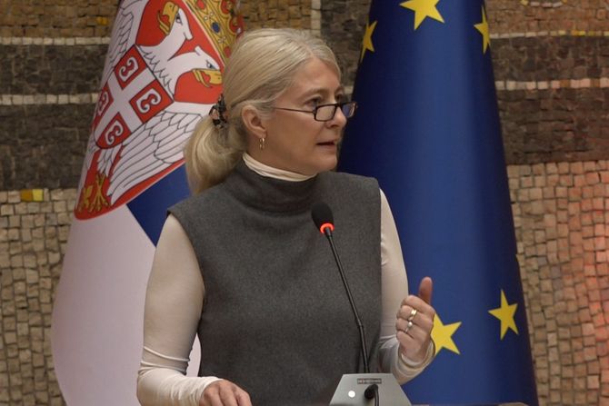 Ministarka Jelena Begović