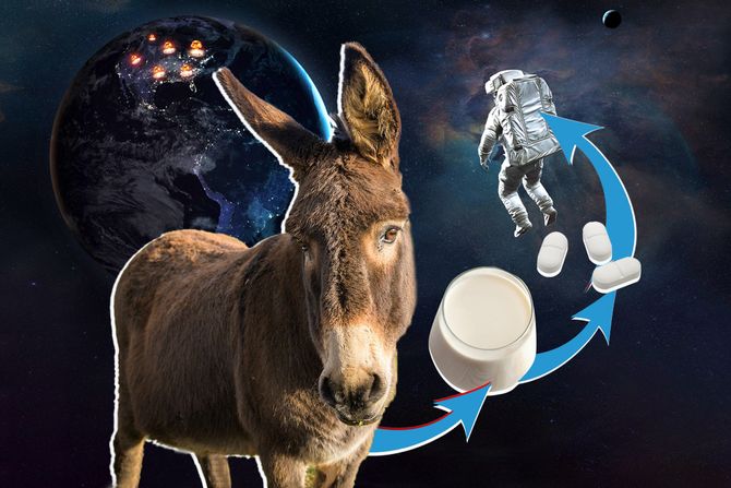 Magarac, mleko, tablete, svemir, astronaut Magarac, mleko, tablete, svemir, astronaut