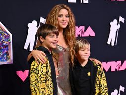 Milan i Saša, Šakirini sinovi