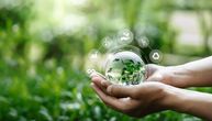 Priroda kao inspiracija: Kako su naučnici osmislili plastiku koja se ponaša kao list