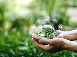 Ekologija, zagađenje