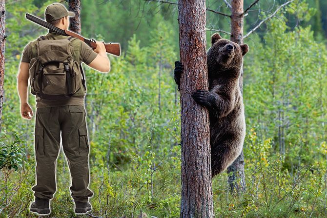 nesreca u lovu nesreca u lovu