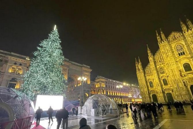 za ona.rs - dom i dekor - Milano božićna dekoracija