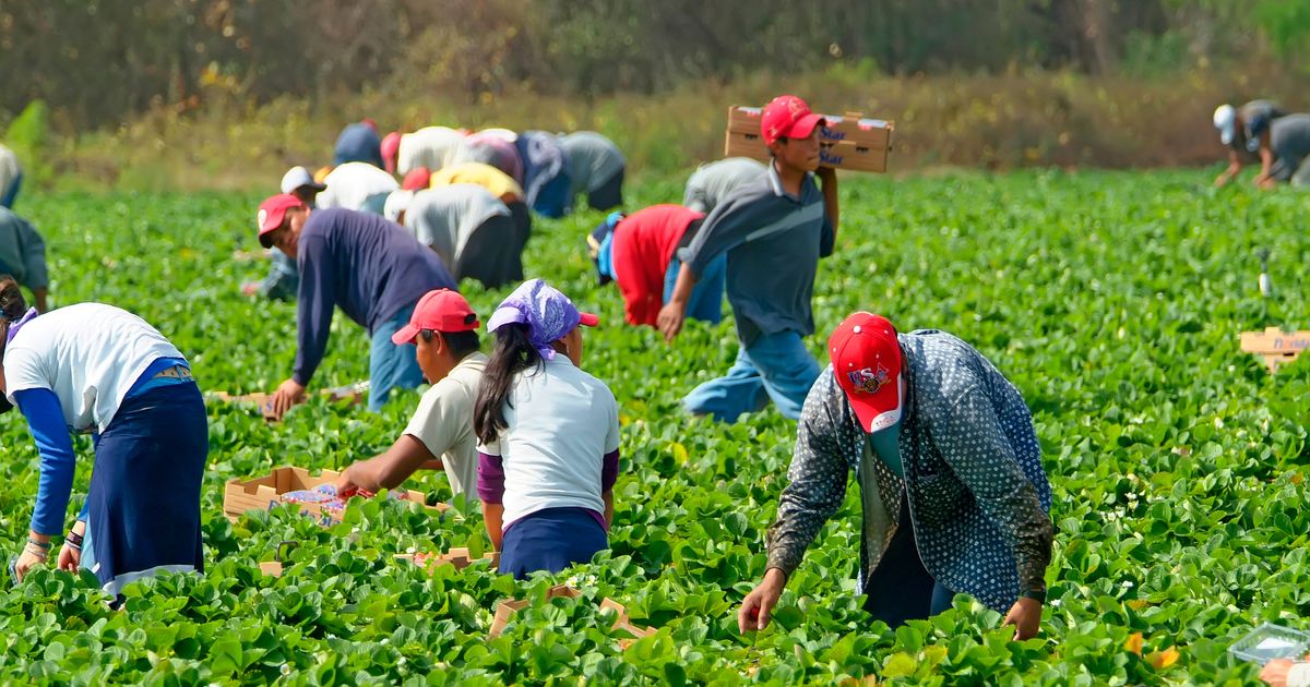 Gotovo svaki četvrti radnik u Evropi je migrant: Iznenadili biste se koga statistika svrstava u ovu kategoriju