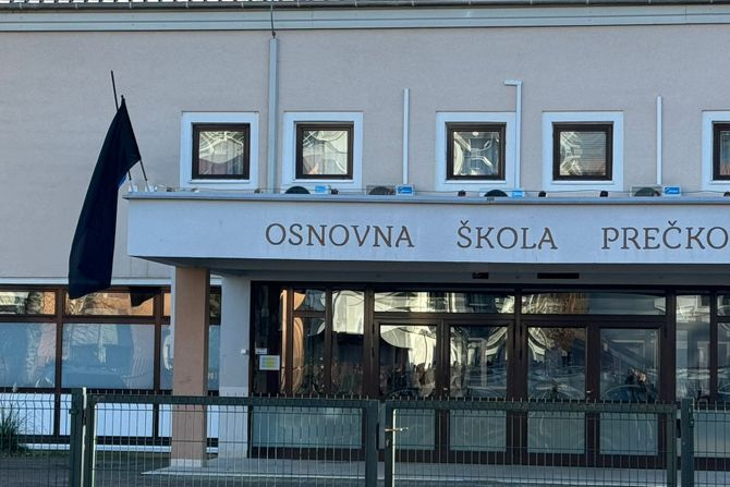 Zagreb osnovna skola Precko napad