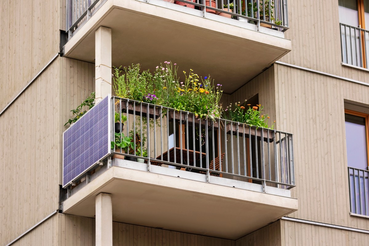 Cveće koje voli hlad: Koje biljke da sadite tamo gde sunce ne dopire