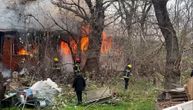 Deca plaču na ulici, vatra se otima kontroli na Adi Ciganliji, stižu nova vatrogasna vozila