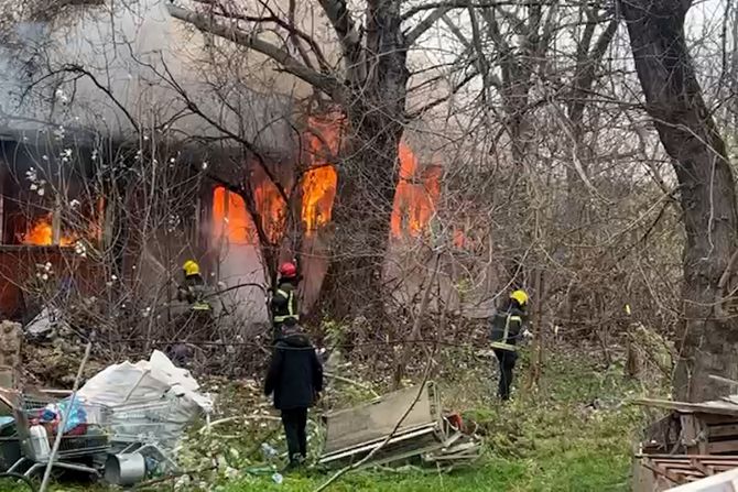 Borba vatrogasaca sa požarom na Adi Ciganliji