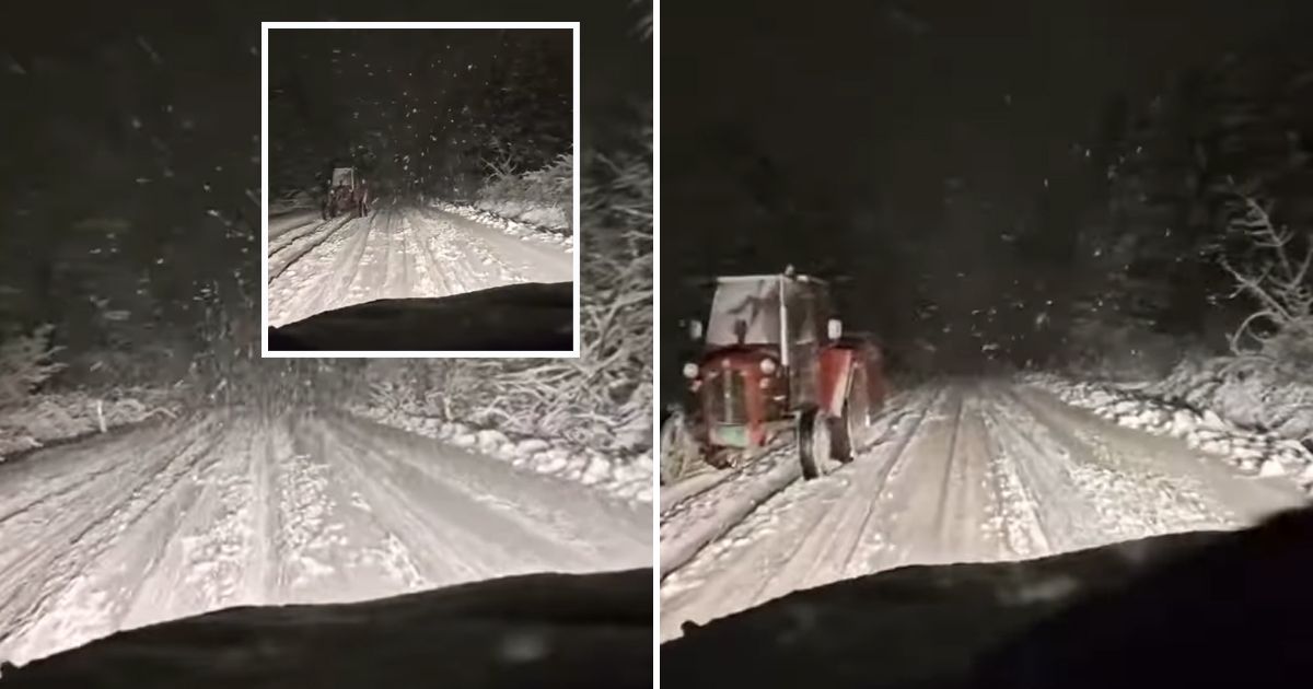 "Ubica iz mraka" Jeziva scena kod Borskog jezera, vozio zavejanim putem, a onda iz mrklog mraka izvirio užas