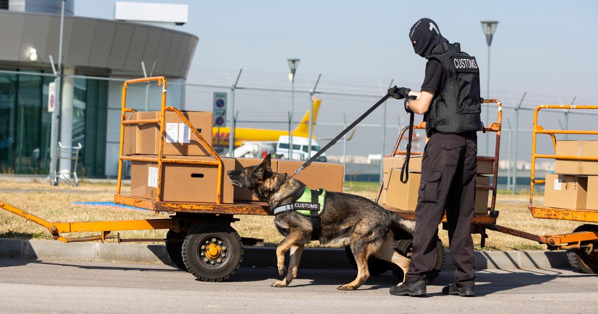 Carinici otvorili sumnjivu kutiju i zanemeli: Neverica šta je čovek pokušao da prošvercuje u avion