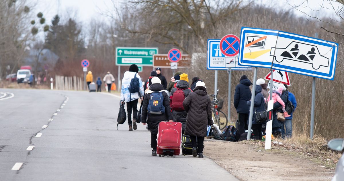 Drama na graničnom prelazu! Carinici otvorili kofer, šokirali su se kad su videli šta se u njemu nalazi