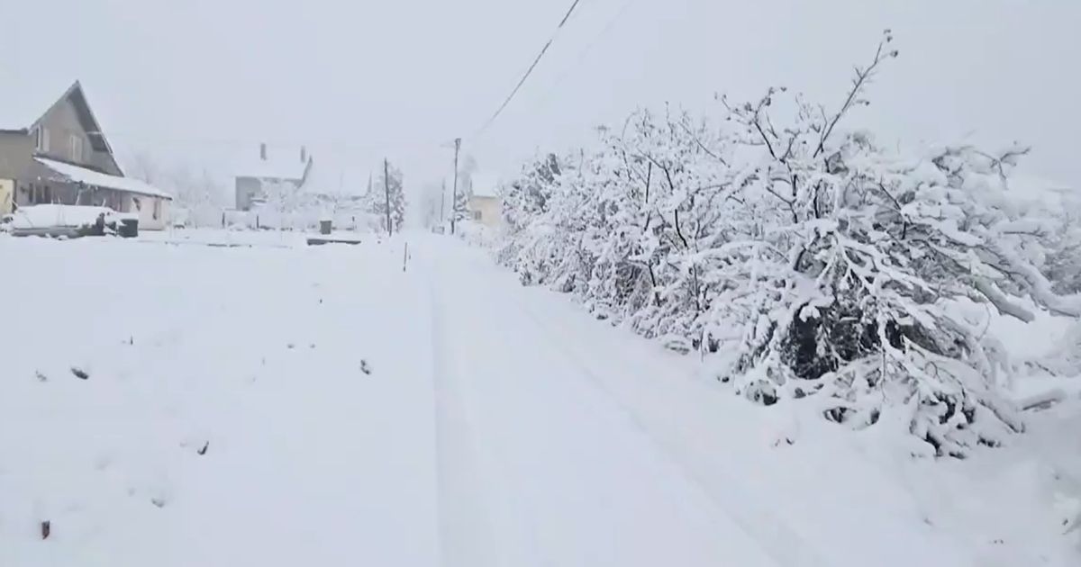 Oglasili se iz Elektromreže Srbije: Na snazi crveni meteo alarm, sneg ne prestaje, a evo kako je potrošačima