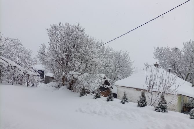 Sneg Zlatar Zlatibor