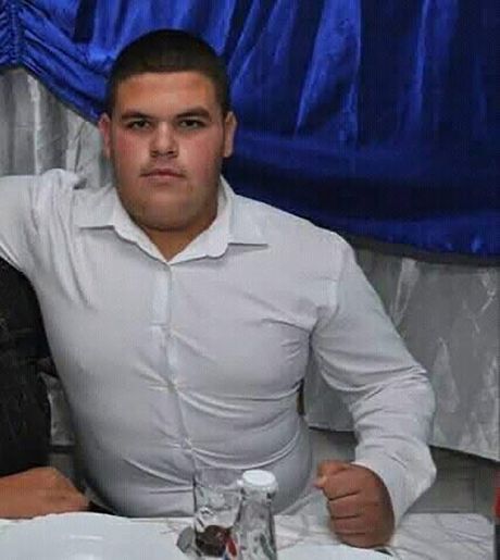 smederevo, udes, vladimir jovanovic smederevo, udes, vladimir jovanovic