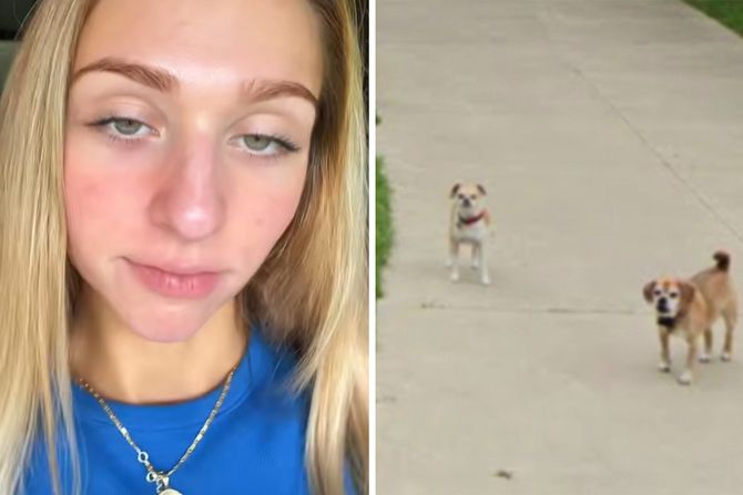 gugl strit gugl strit