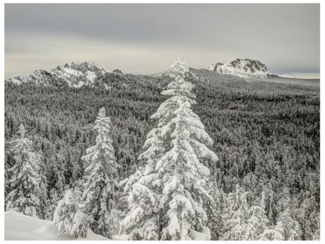 Sibir, Rusija, Ruska Federacija, Ruska zima Sibir, Rusija, Ruska Federacija, Ruska zima