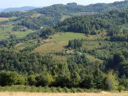 Planina Javor, Srbija