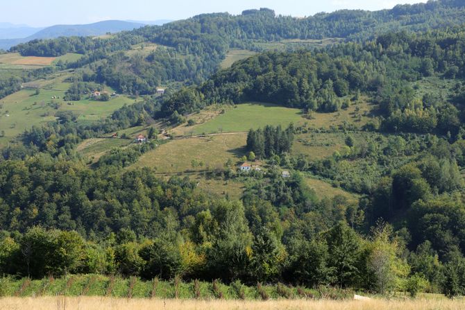 Planina Javor, Srbija