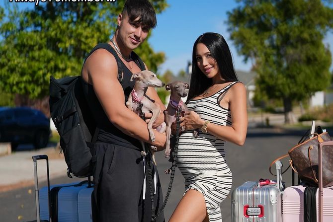 Scarlet Vas Scarlet Vas