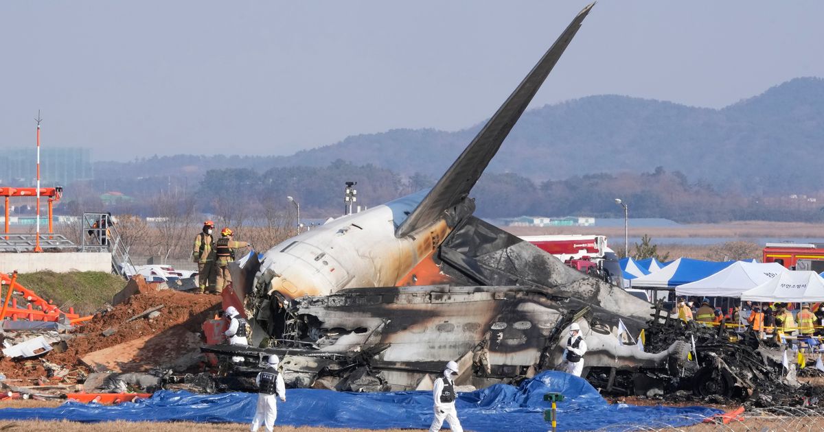 Tragedija na aerodromu Muan u Južnoj Koreji: Boeing 737-800 izleteo sa piste i potom završio u plamenu