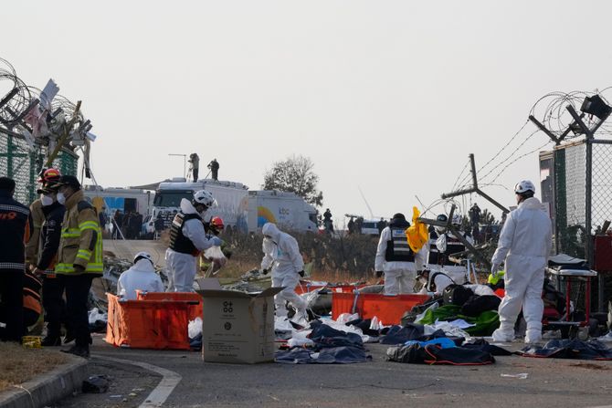 Južna Koreja, avionska nesreća, avion udario u zid